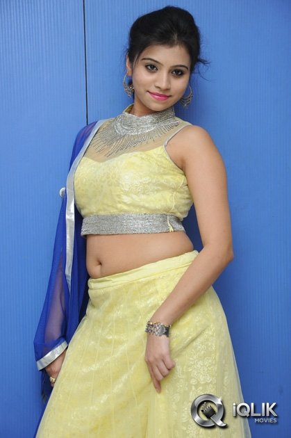 Priyanka-at-Adhee-Lekka-Movie-Platinum-Disc-Function